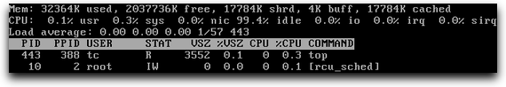 Tiny Core Linux RAM Usage (Terminal)