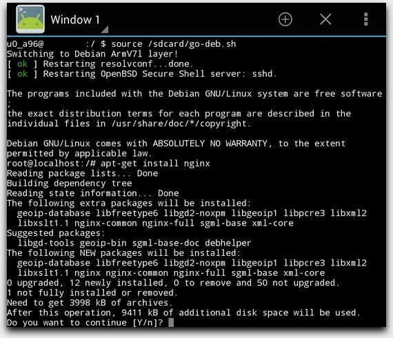 Installing NGINX in a Debian Guest
