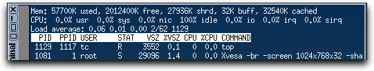 Tiny Core Linux RAM Usage (GUI)